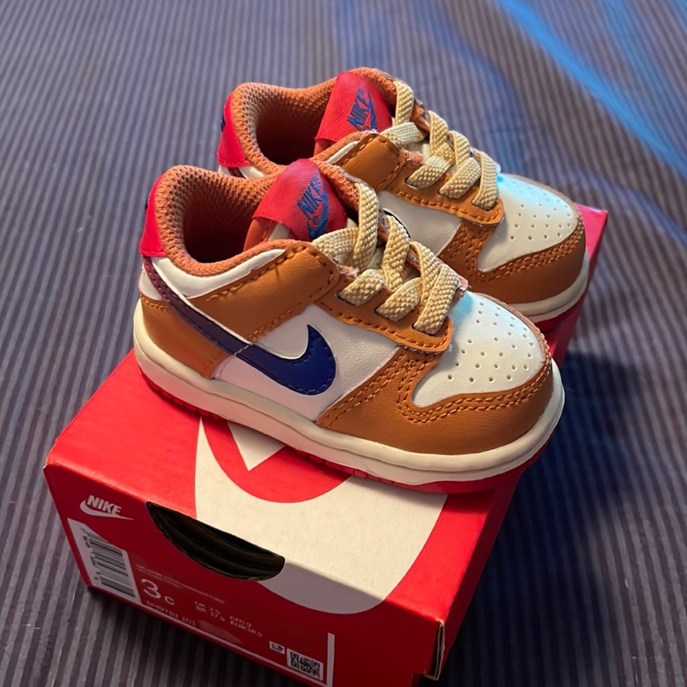 Nike Dunk TDE